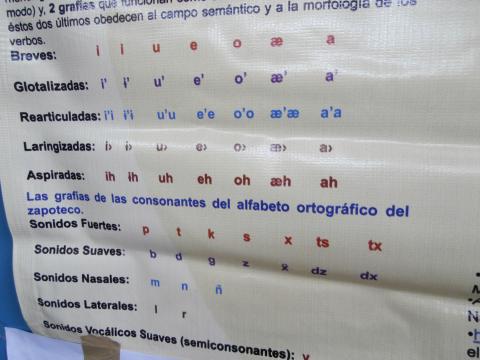Alfabeto ortográfico del zapoteco del Valle de Oaxaca. Bajo la coordinación de Zeferino  Mendoza Bautista